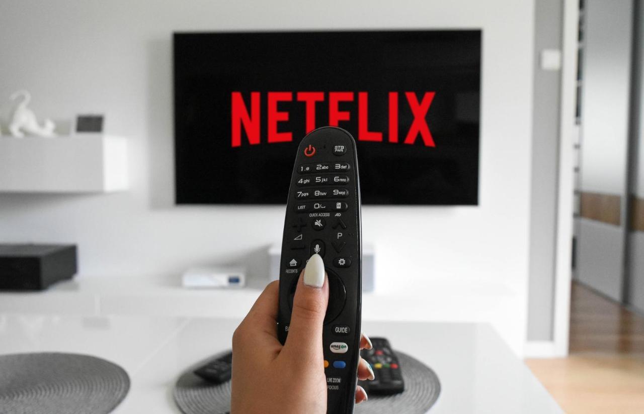 Appartement Stilvolle *rebland* Balkon-netflix-parking *
